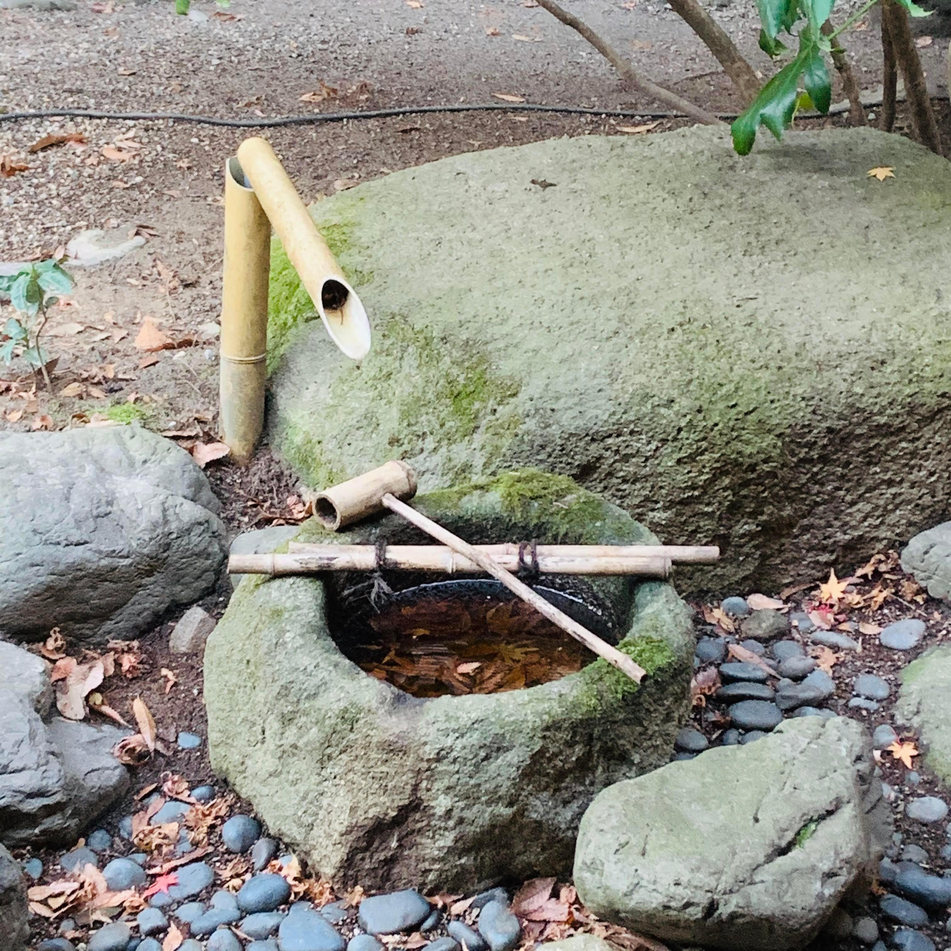 外の設計がとてもキレイ(*˘︶˘*).｡.:*♡