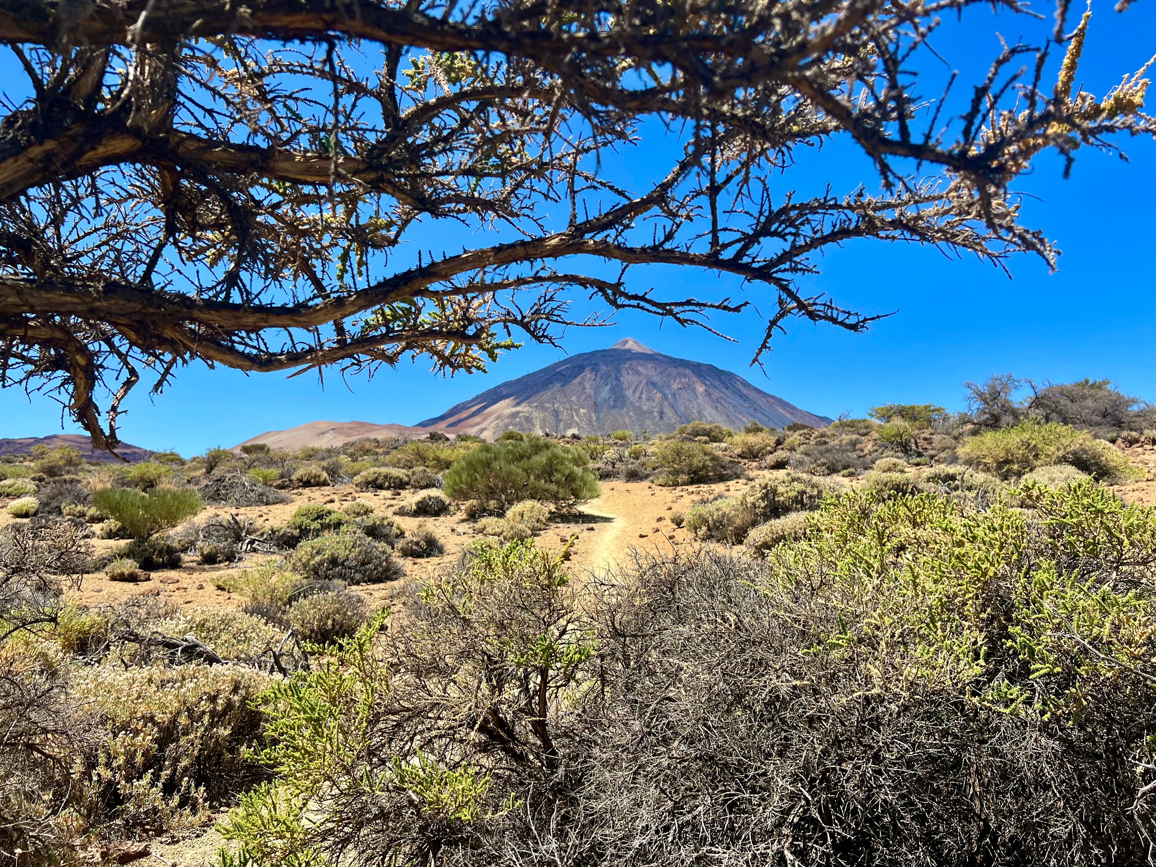 Teide during a walk from El Portillo. 