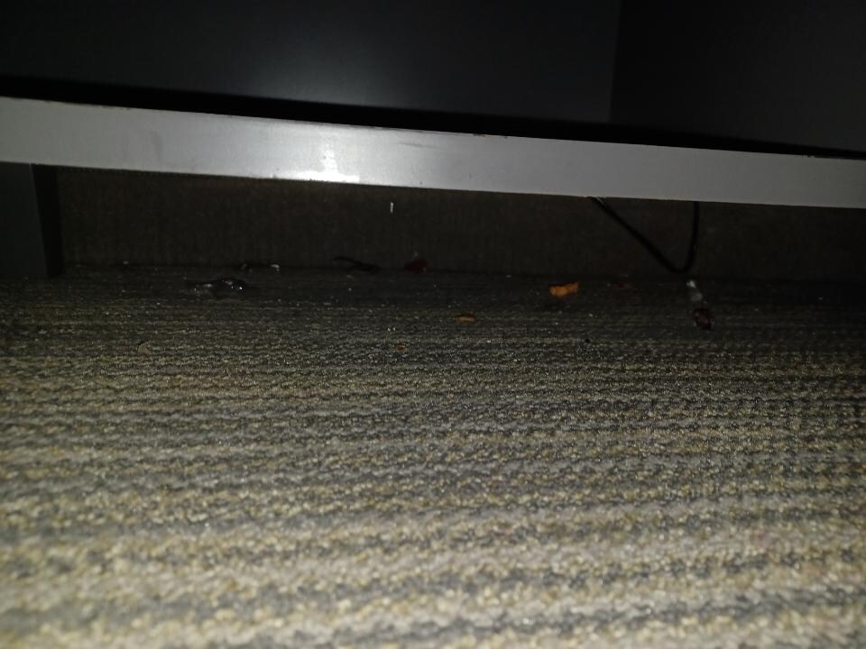 Book Country Inn Suites by Radisson Newport News South VA in