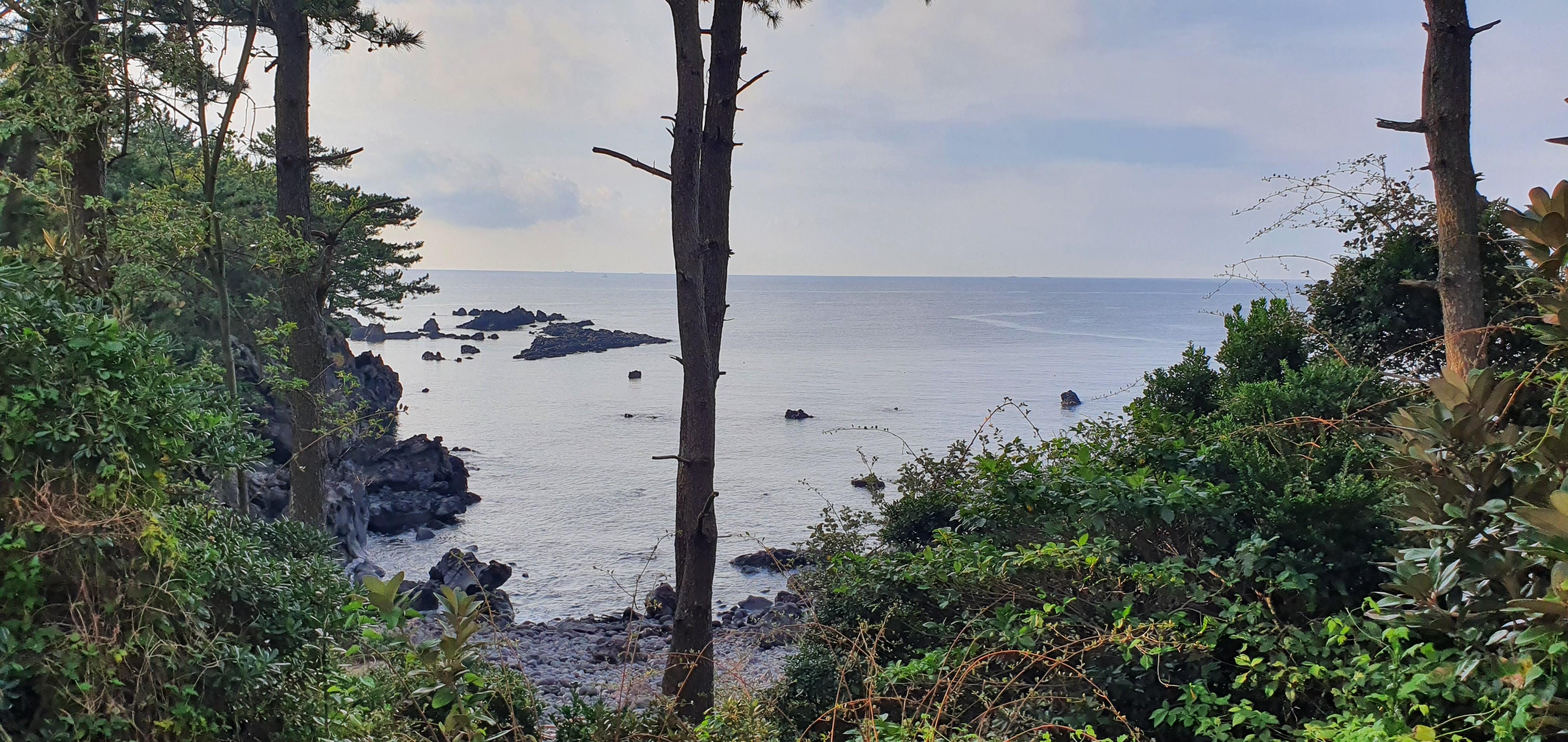 걸어니가면나오는 풍경