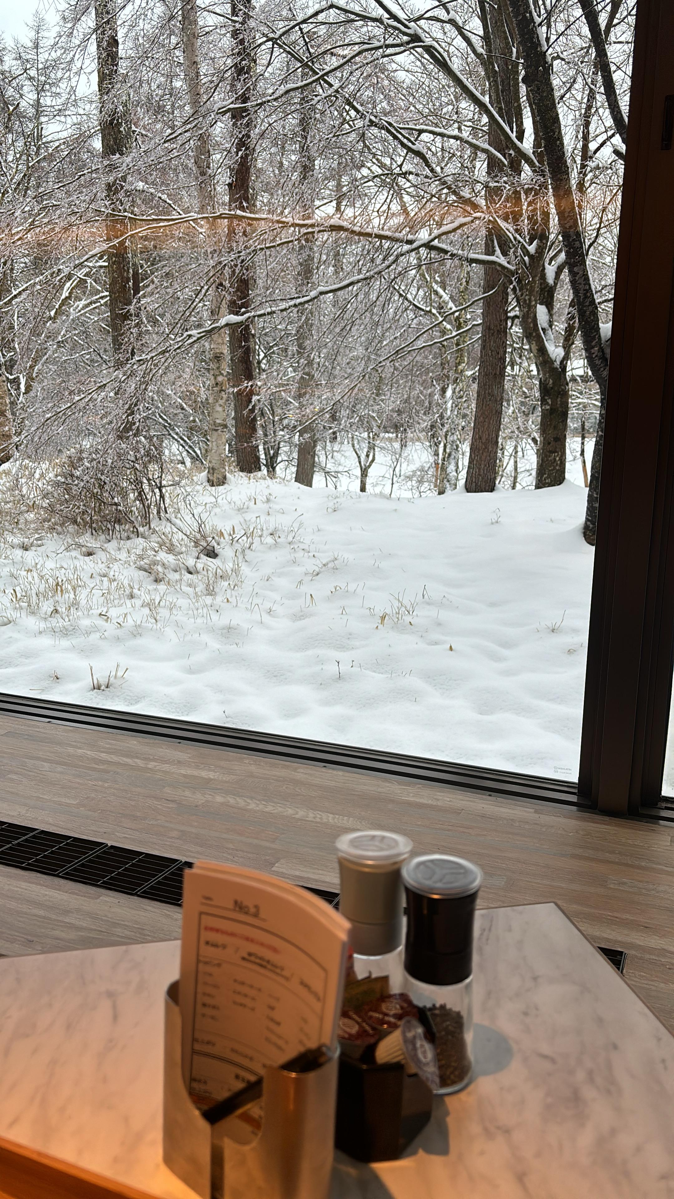 This is a picture from the dining room.  The private onsen in our room was spectacular because I could see the snow while soaking 