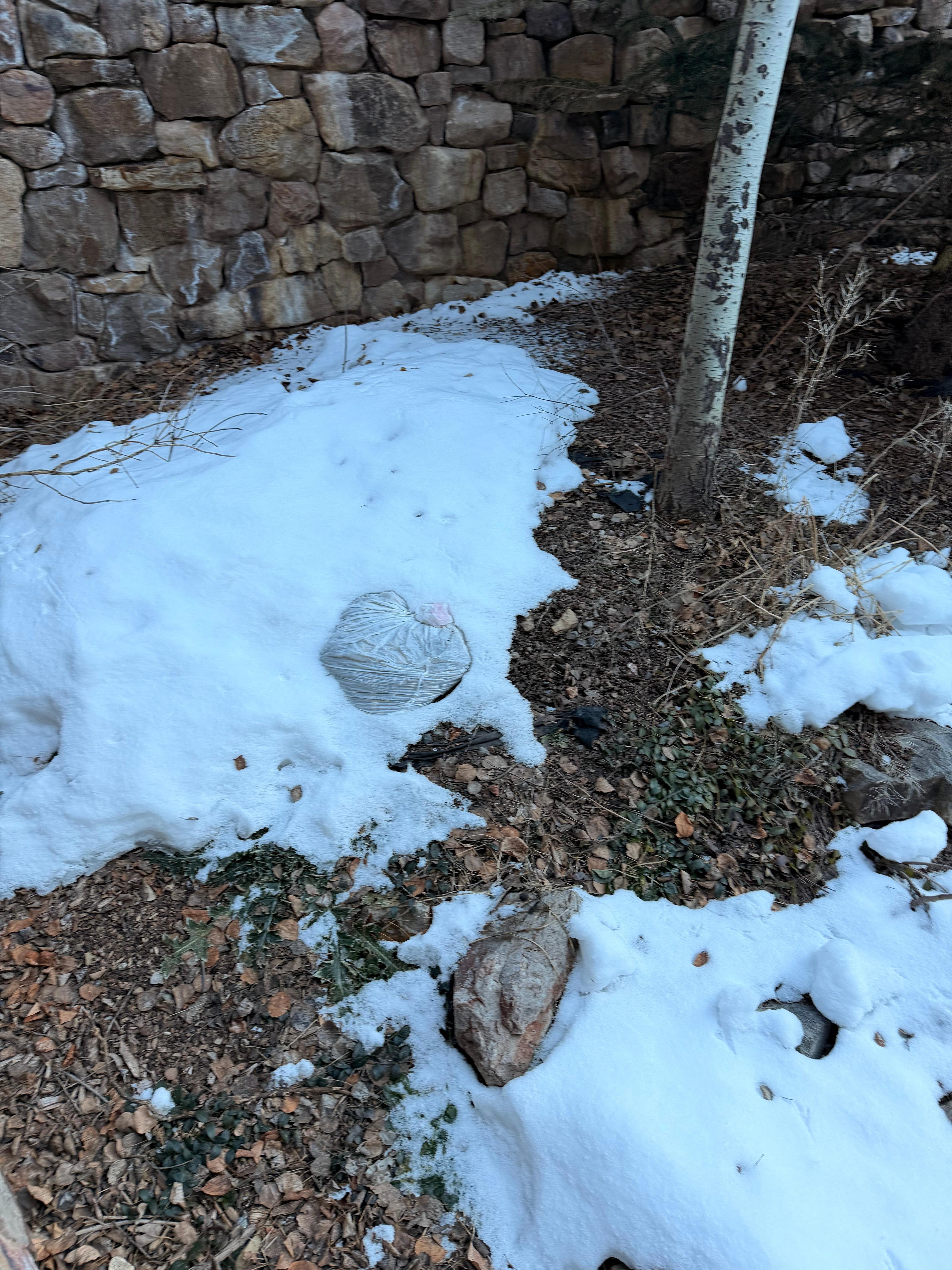 Bags of trash under snow. 