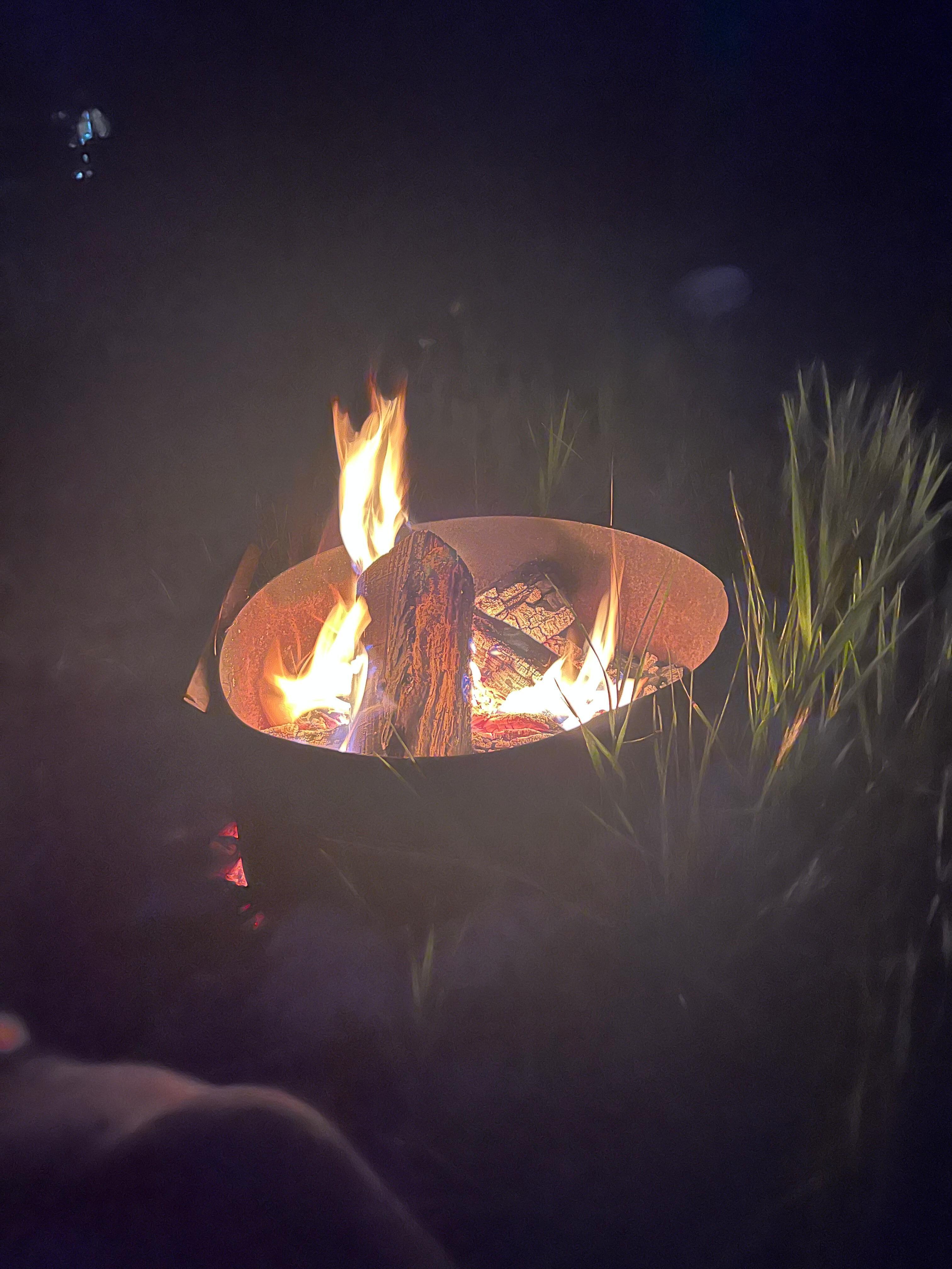 Back yard fire pit 