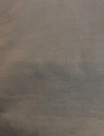 The bed linen wasn't changed, it's dirty. Lots of hair on the pillowcases.