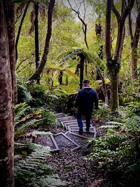 Trail near accomodation