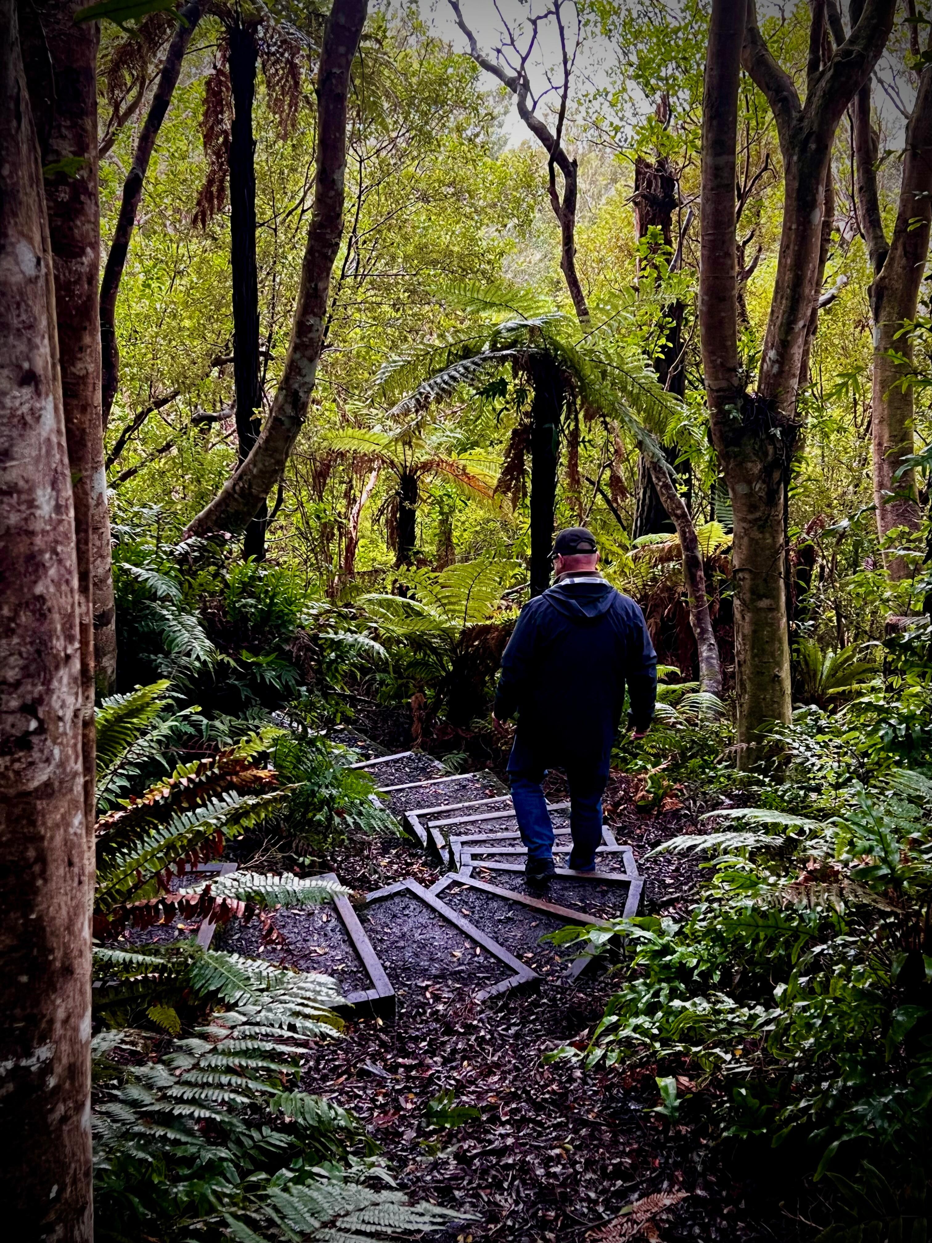 Trail near accomodation 