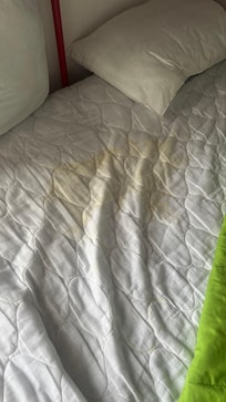Pee stains