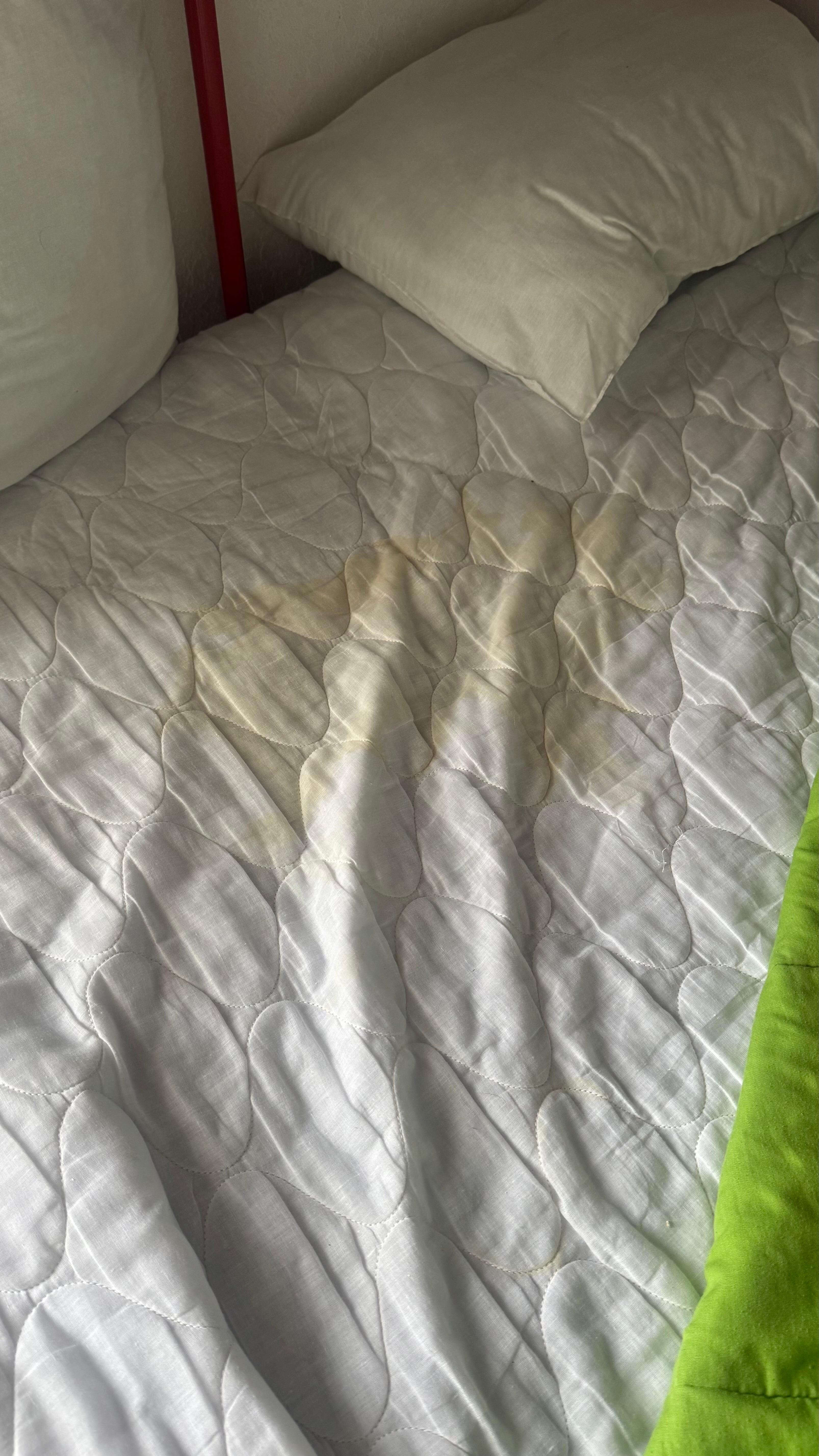 Pee stains