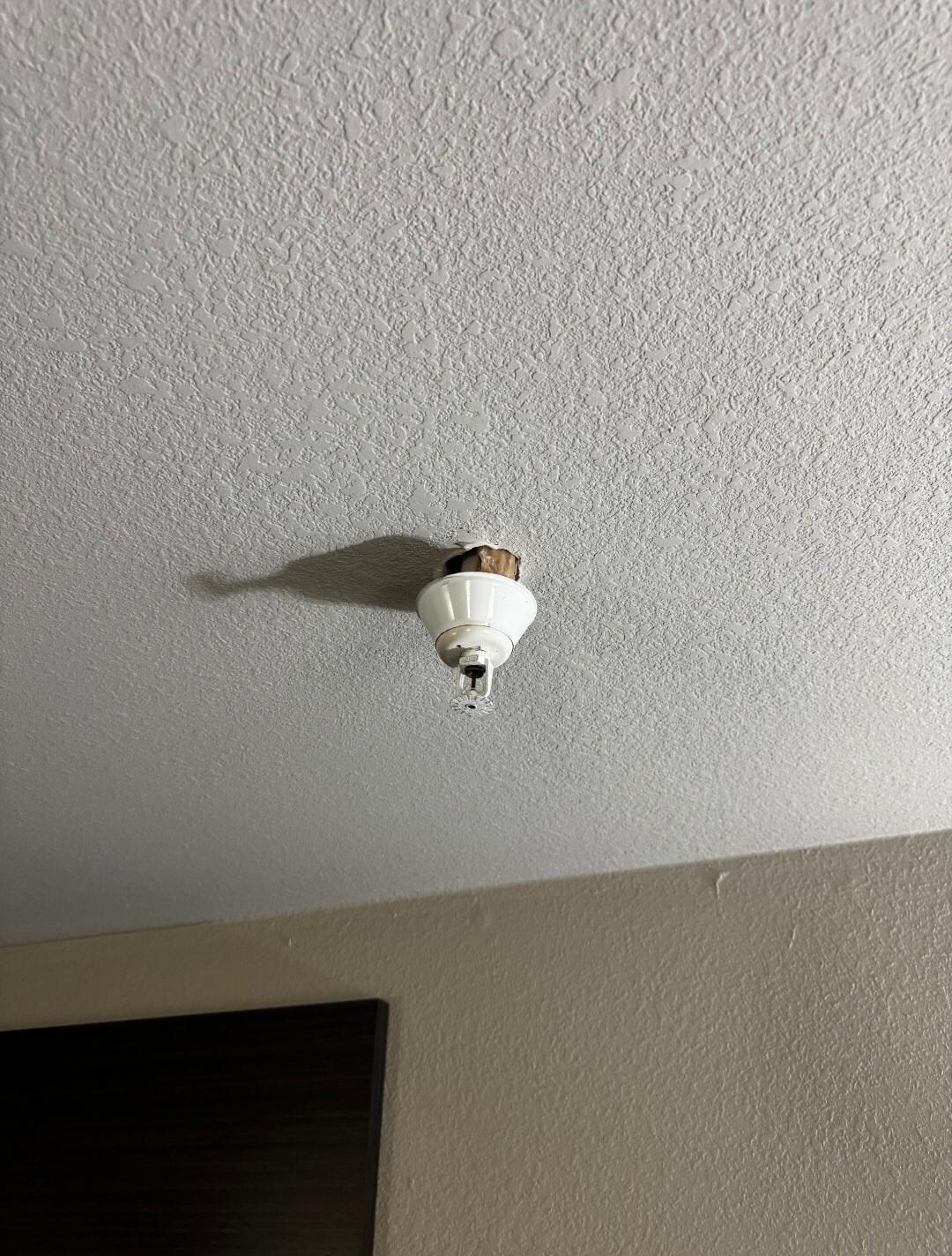 Sprinkler system coming out of the ceiling 