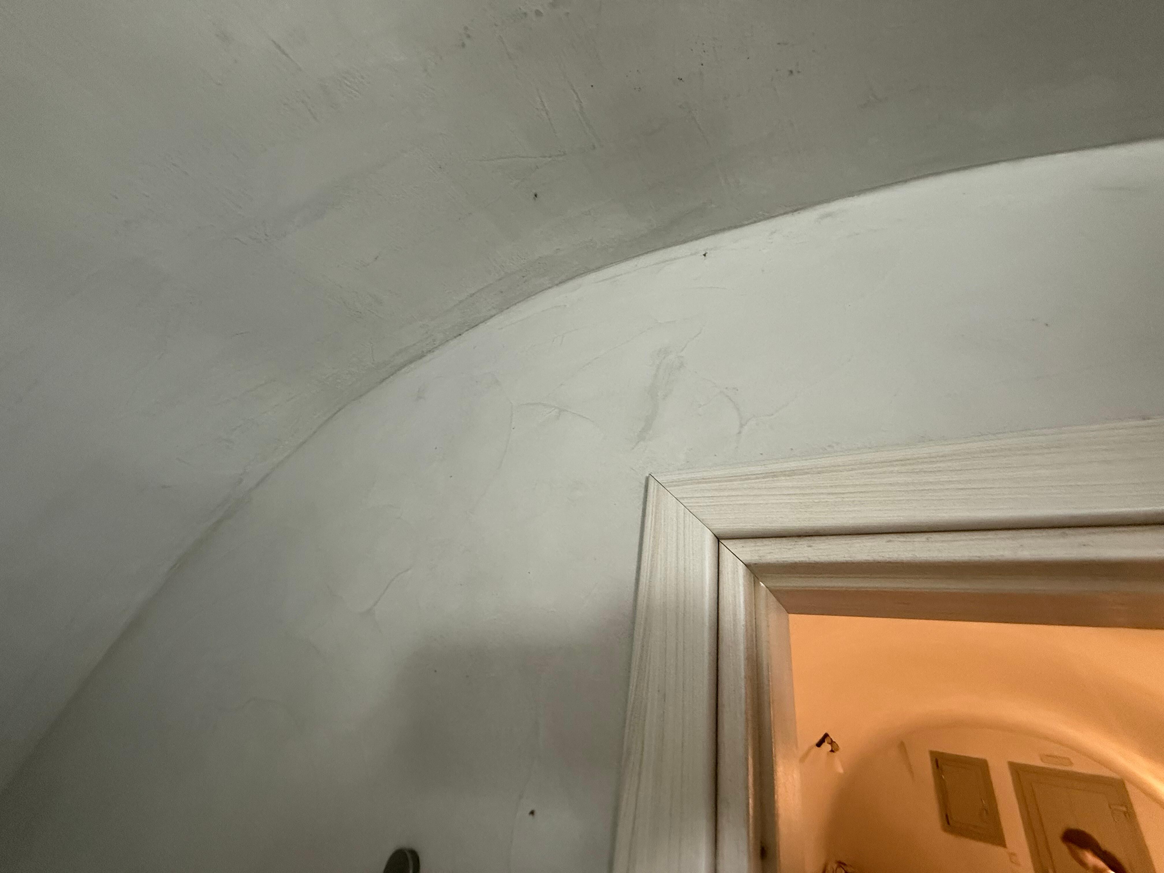In this photo alone there are 3 flying insects, my guess is they are coming from the sewer pit under the room.