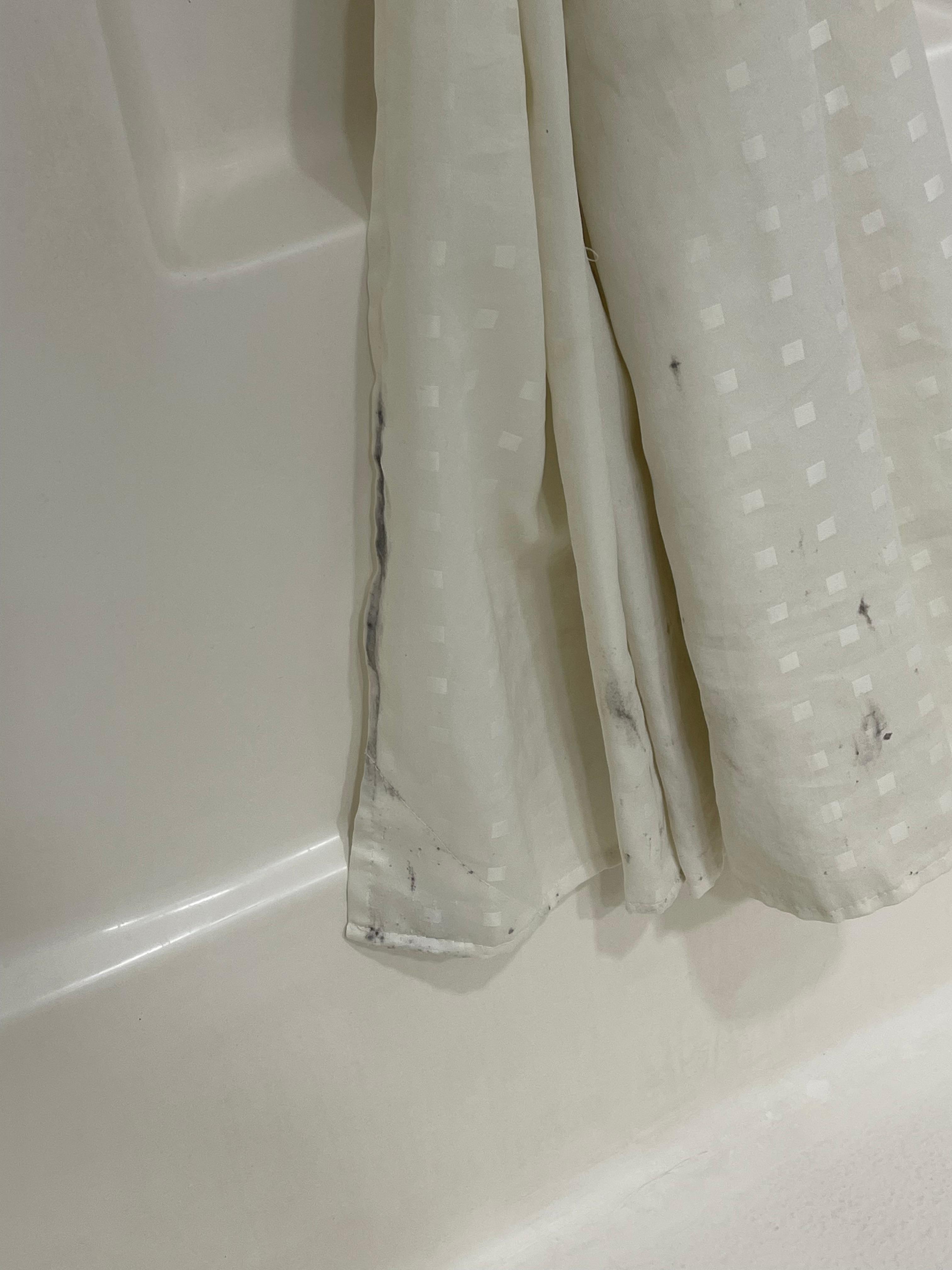 Mold/mildew on shower curtain 