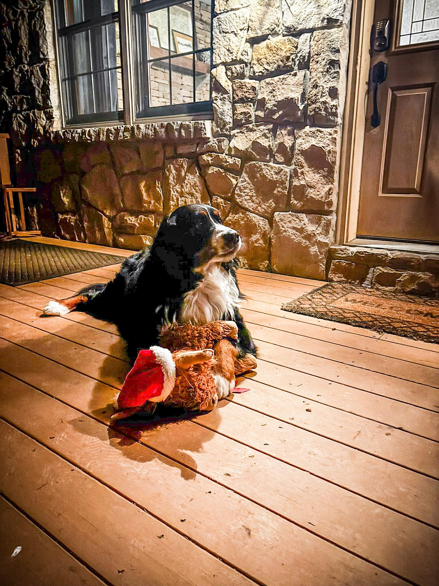 Porch was perfect for our dog to feel like a part of the group 
