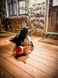 Porch was perfect for our dog to feel like a part of the group