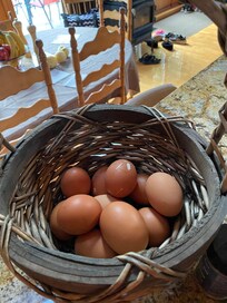 Fresh eggs