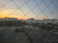 Early morning view from hotel room.
