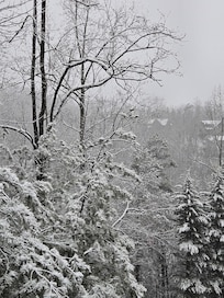 Surprise snowfall!