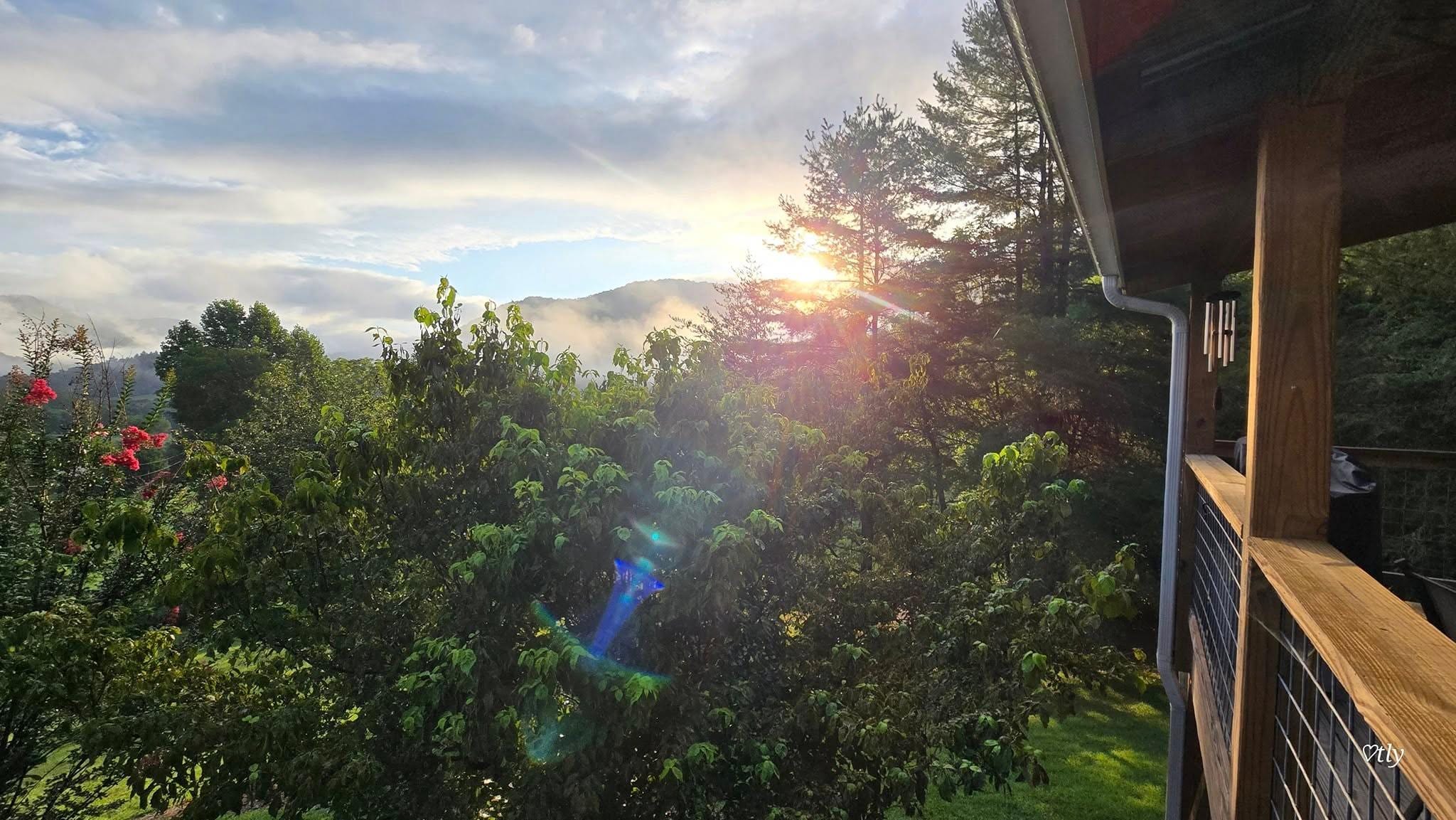 View from the deck - sunrise