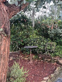 DĂ©tente sous lâeucalyptus