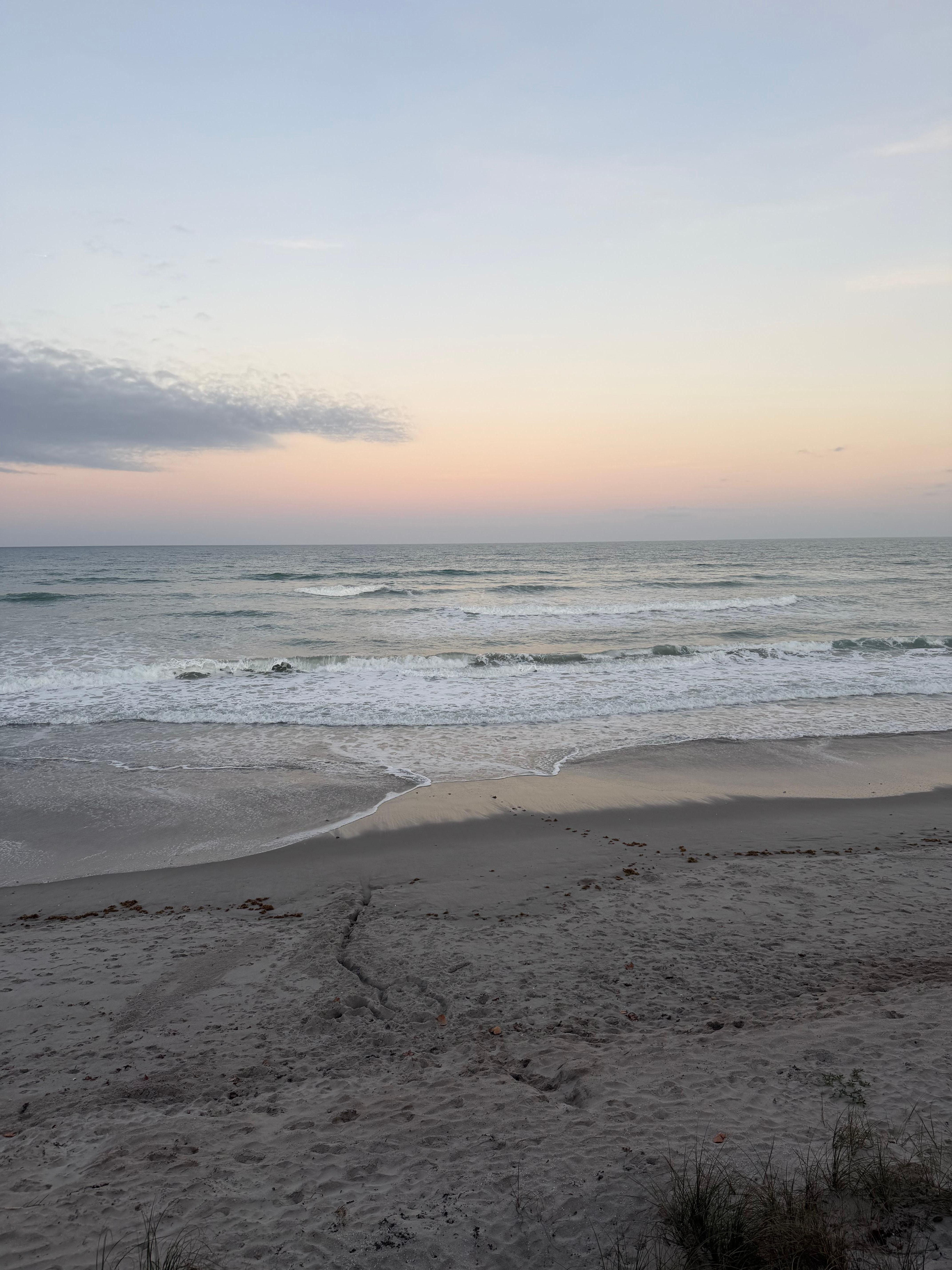 Utsikt från balkongen 