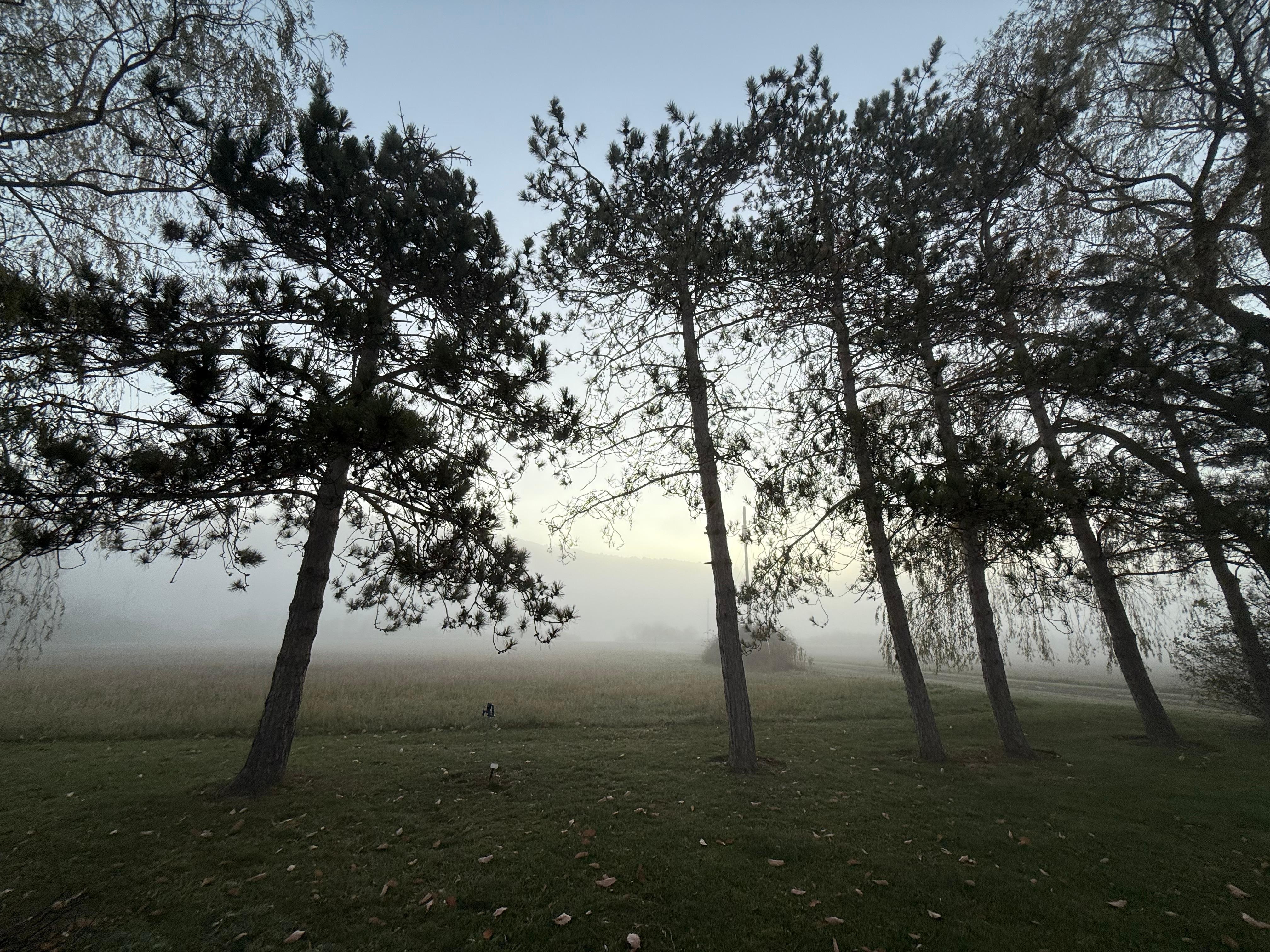 View w sun rising on property 