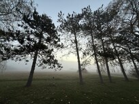 View w sun rising on property