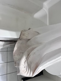 Mold on shower curtain
