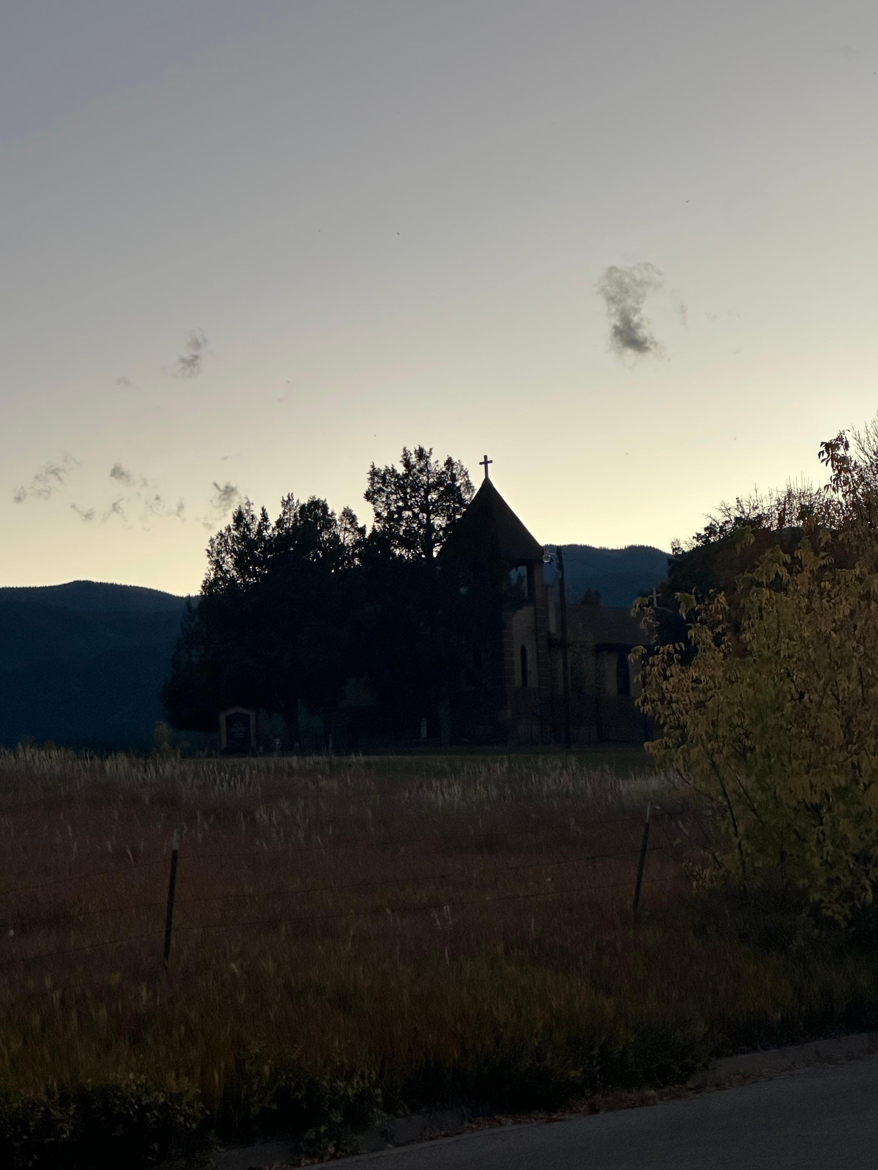 Taken by the front fence 