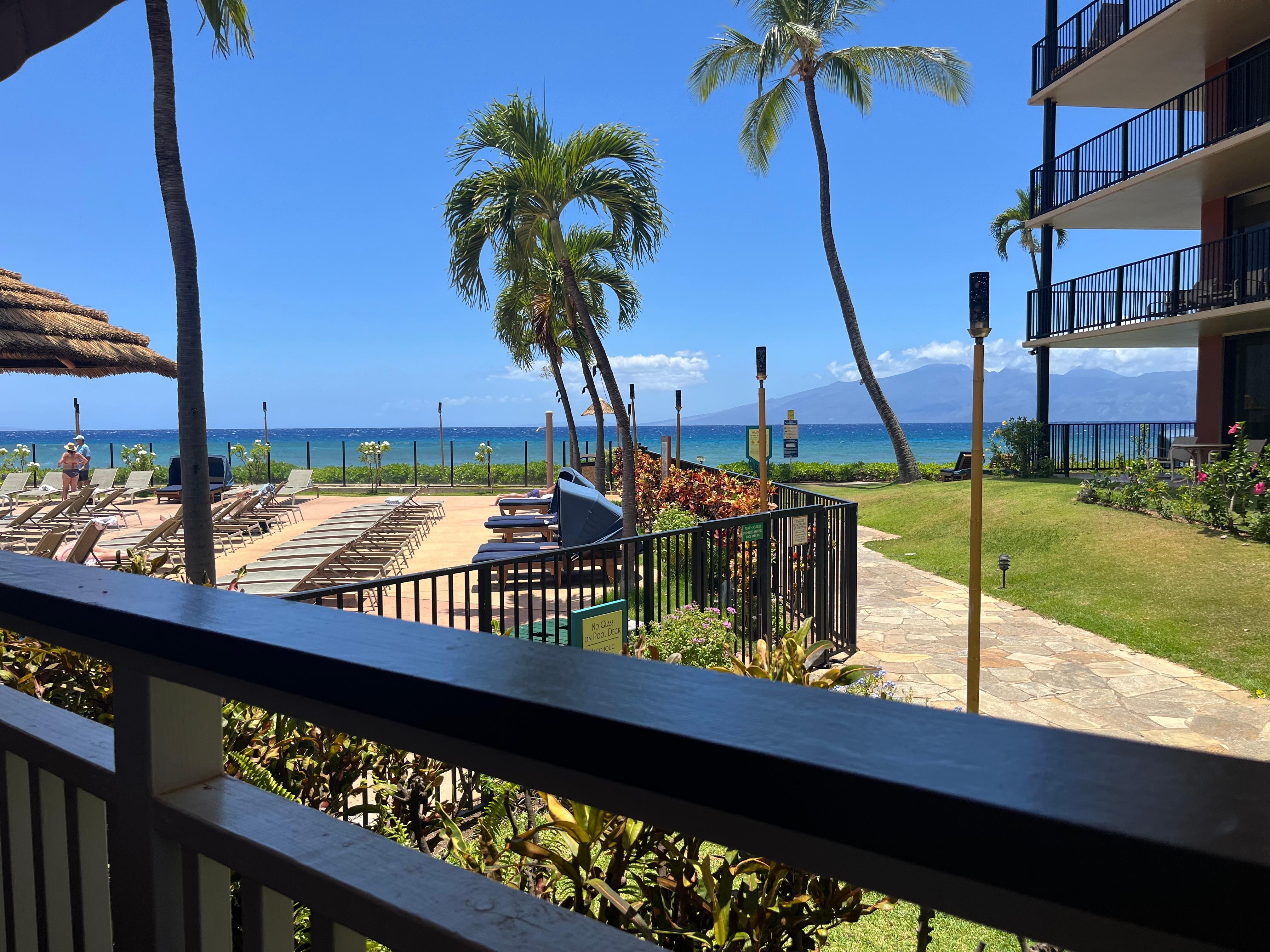 Restaurant view