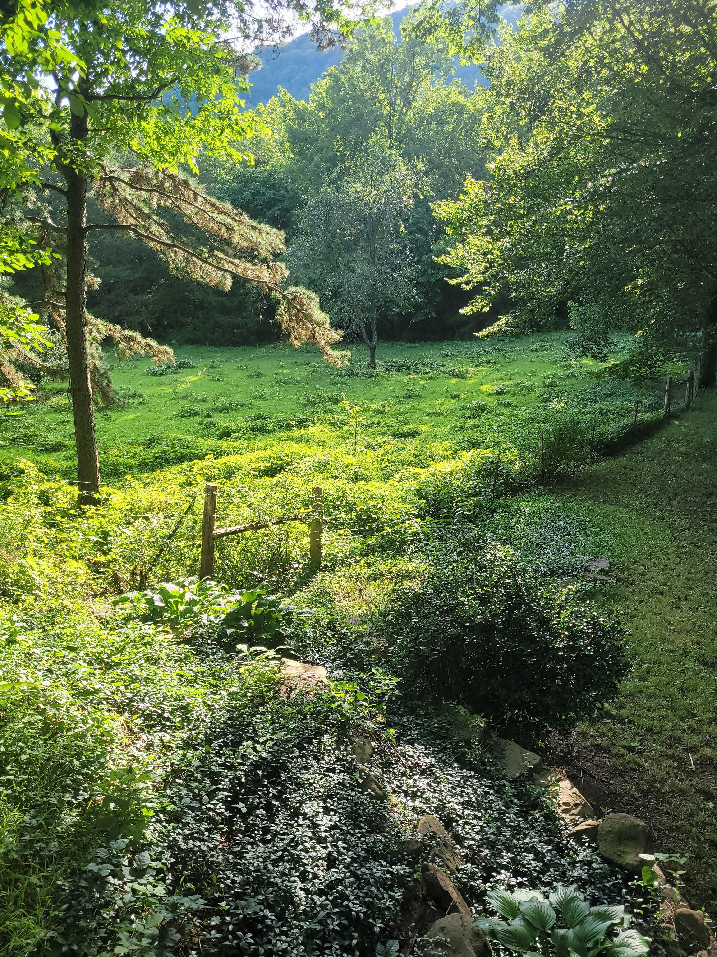 View from the front porch. Absolutely beautiful. 