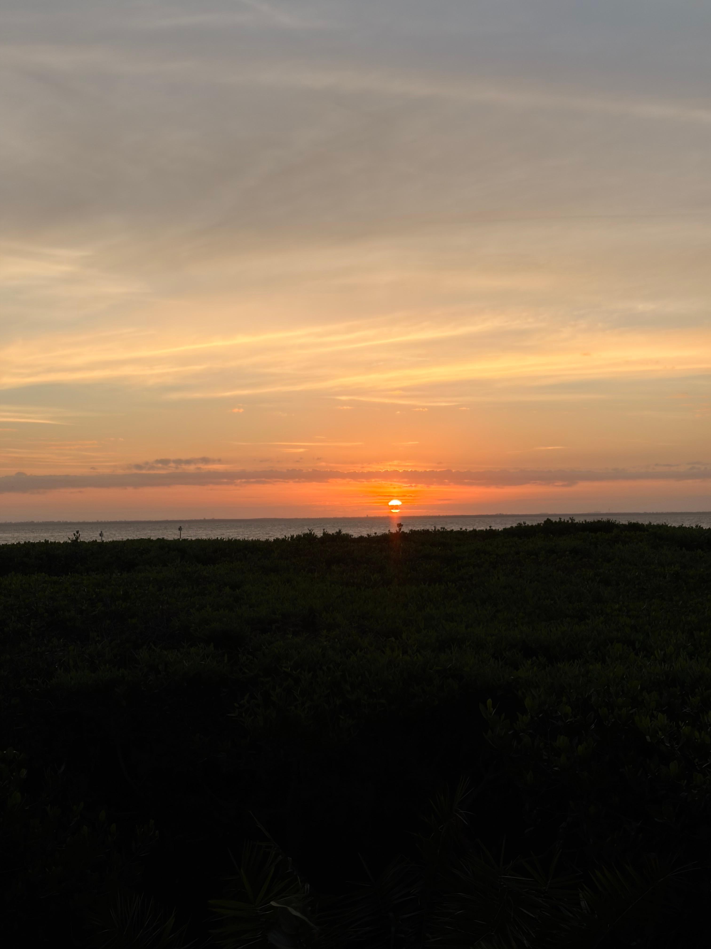 Sunrise view from screened in porch