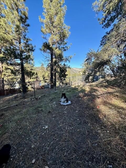 Stryker not willing to leave his snow.