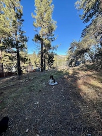 Stryker not willing to leave his snow.