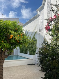 Outdoor pool area