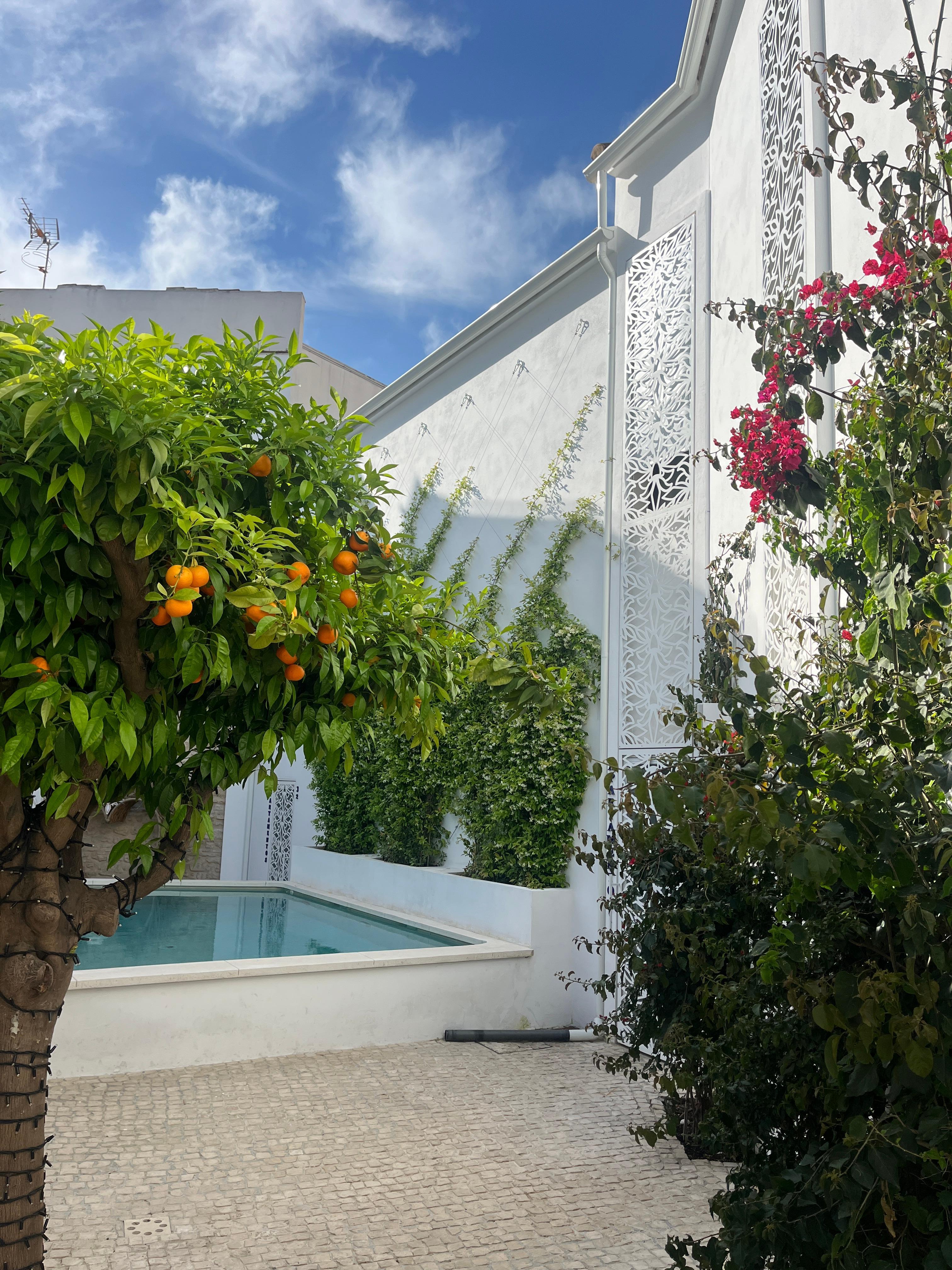 Outdoor pool area