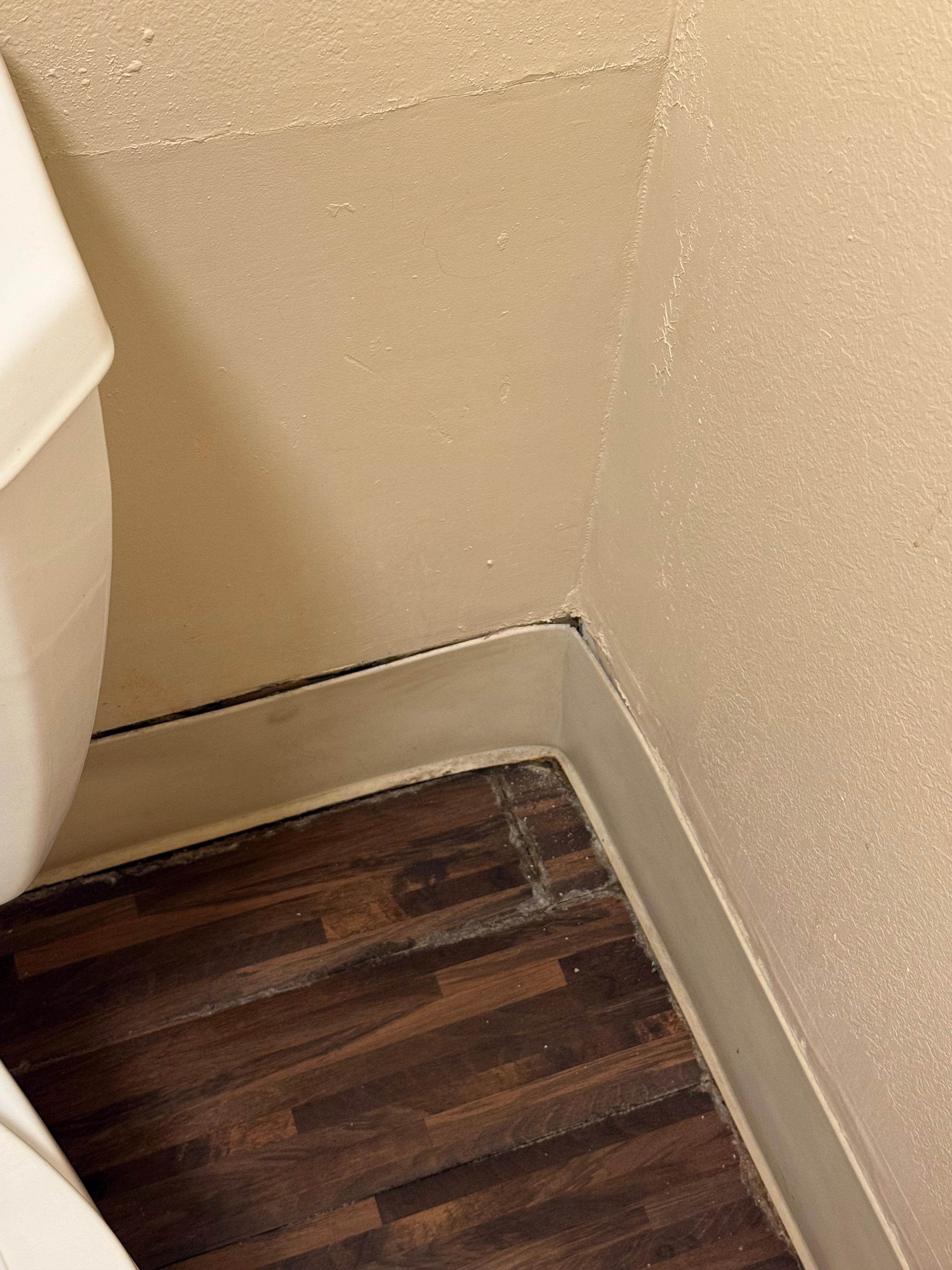 Bathroom falling apart