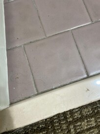 Dirty entry into bathroom