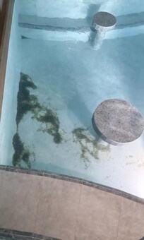 The main swim up bar pool