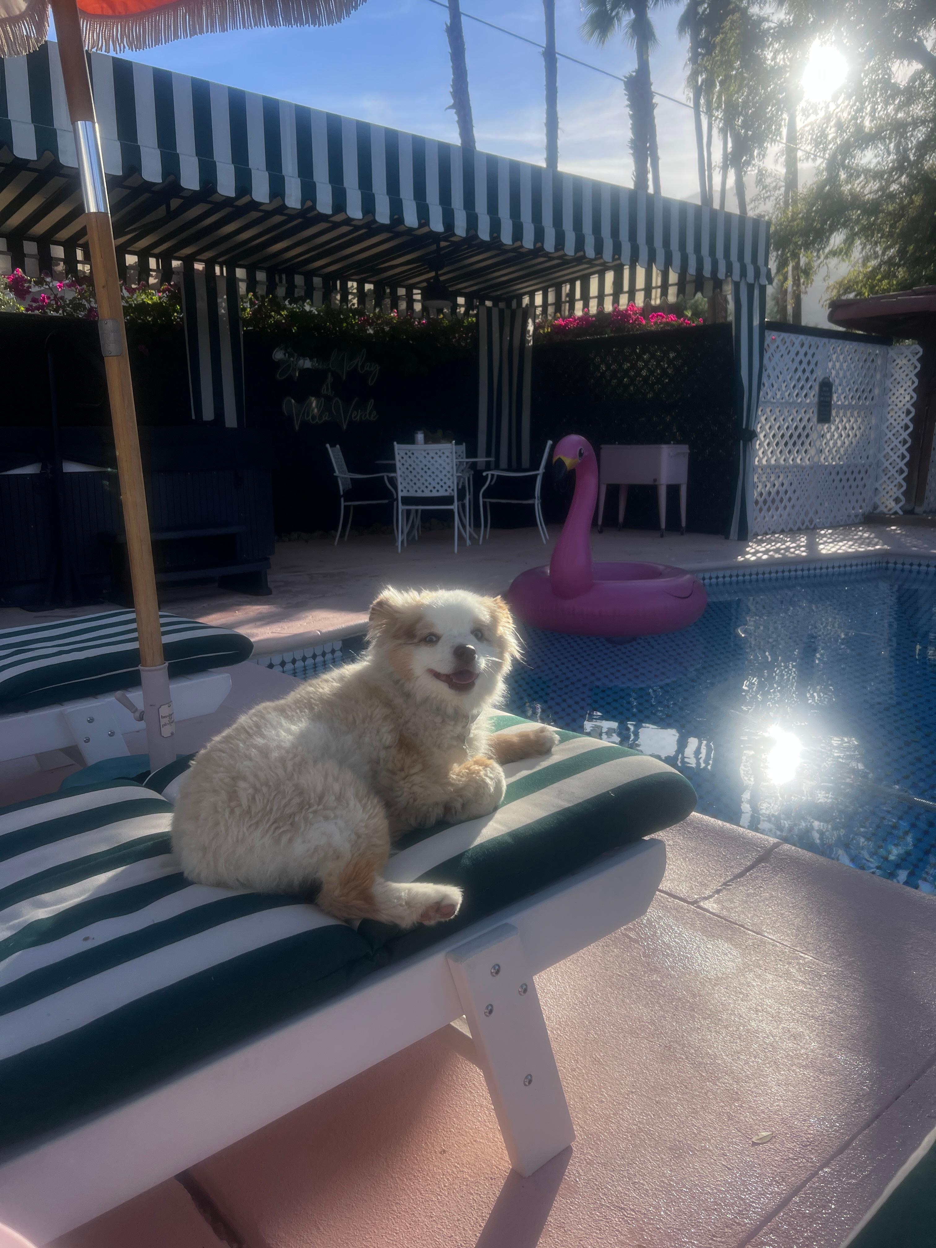Flynn highly recommends afternoon pool time!