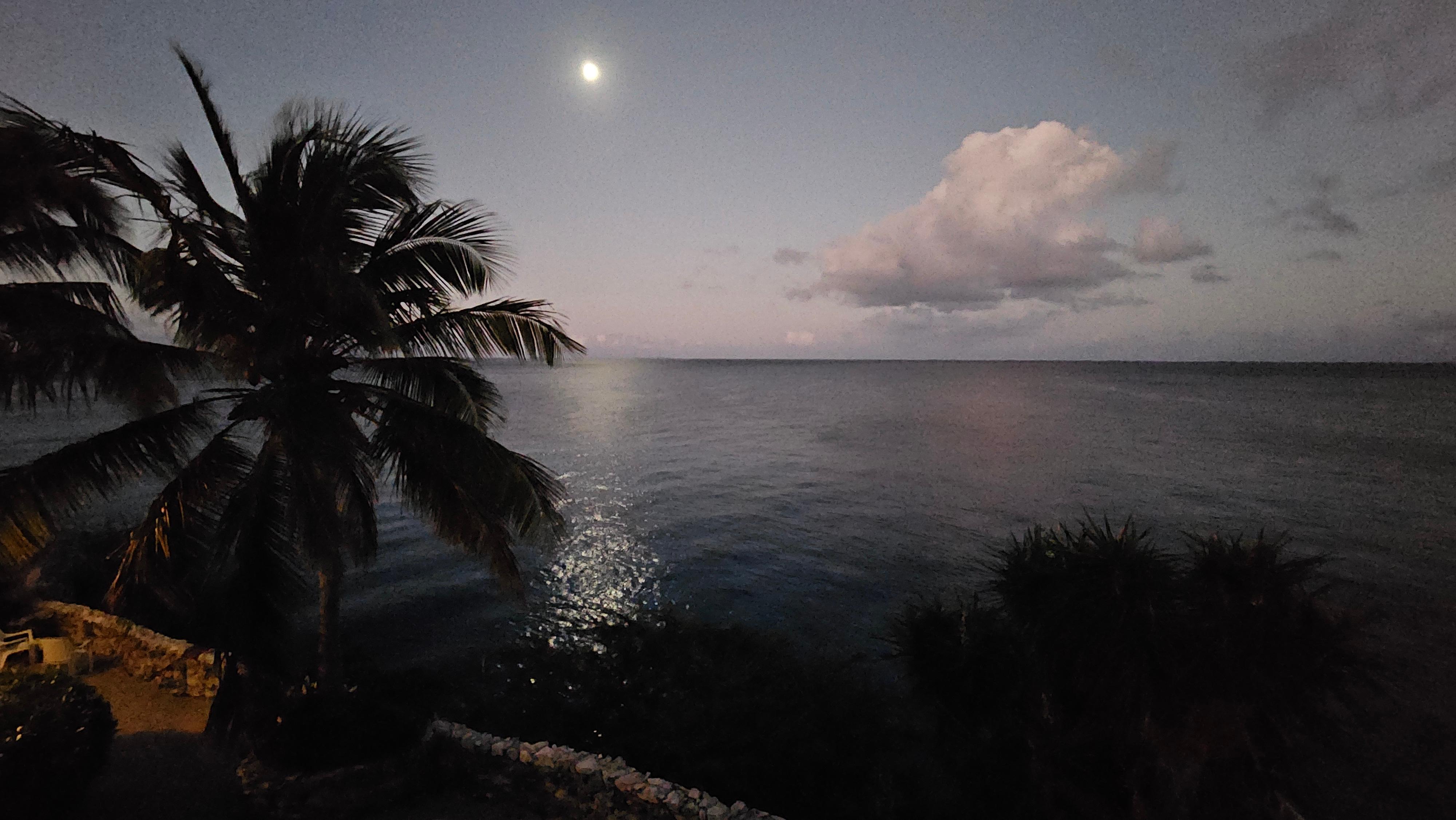 Moonrise before dawn 