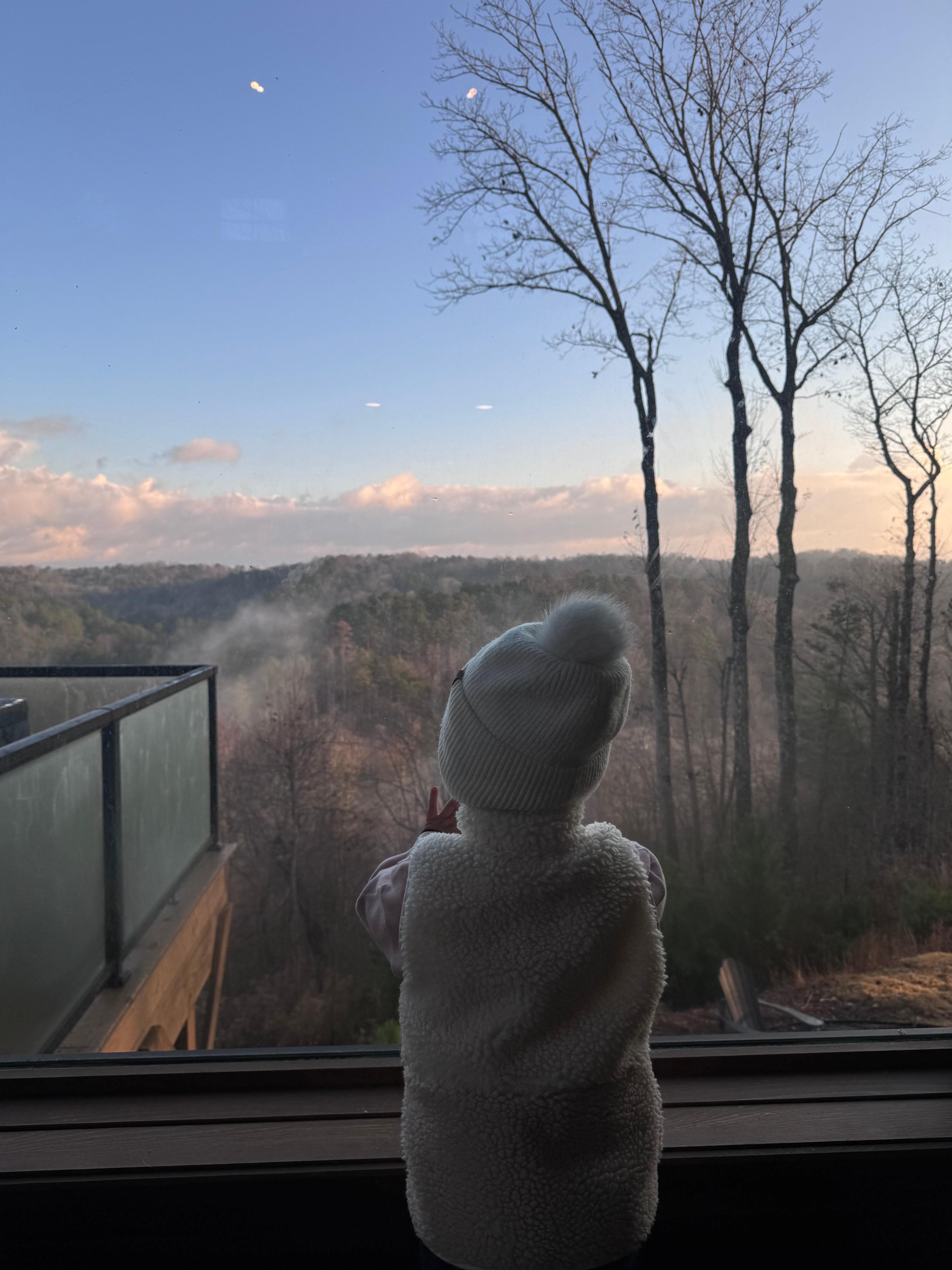 Early morning views from the living room