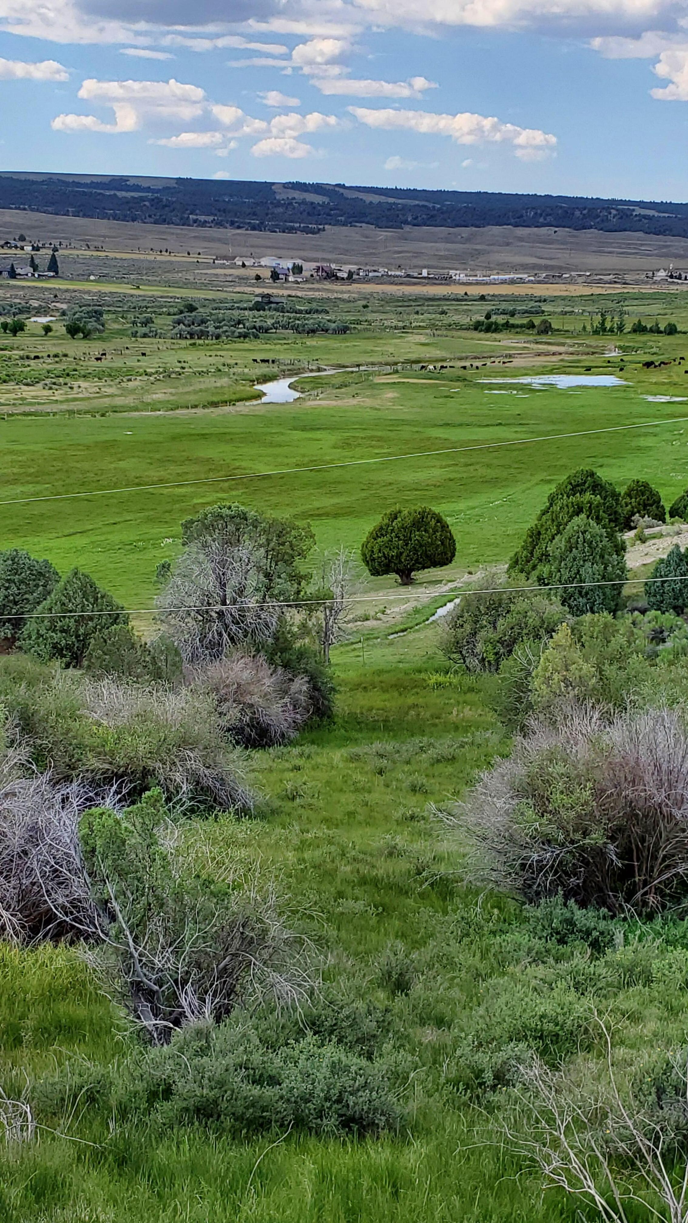 View from porch.