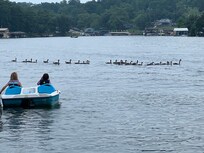 Pedal boat