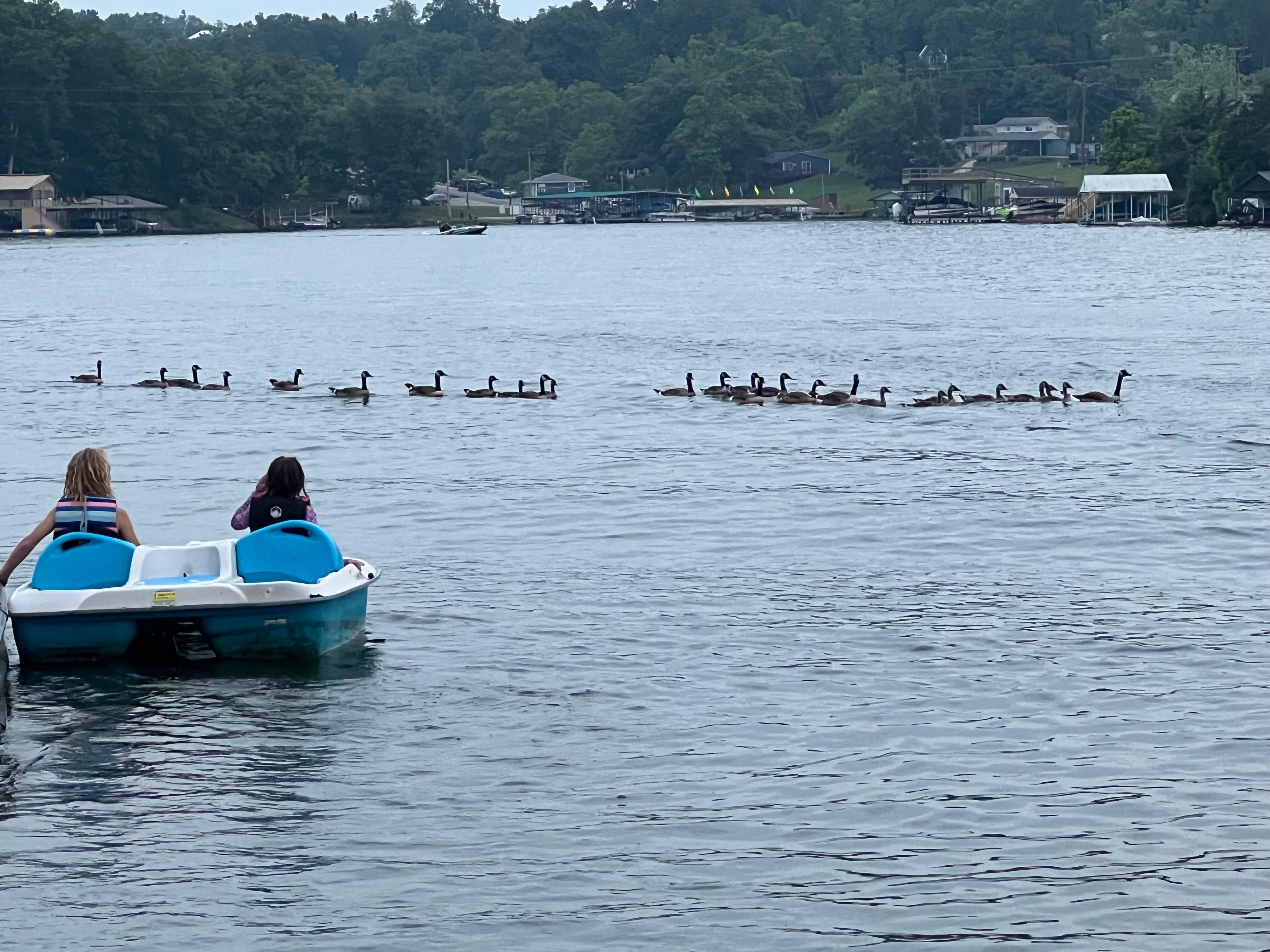 Pedal boat