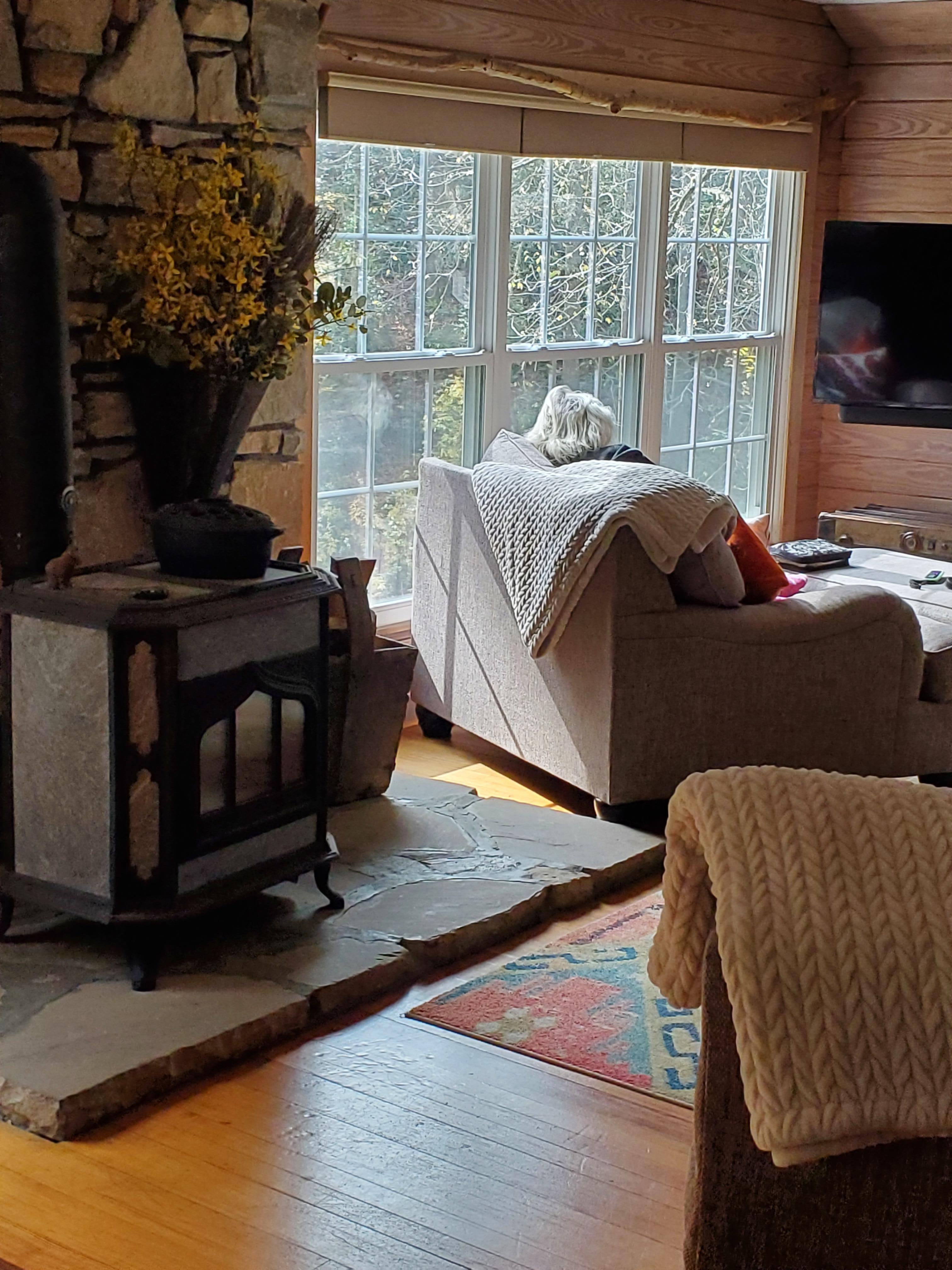 Lots of sunshine pouring in!!!