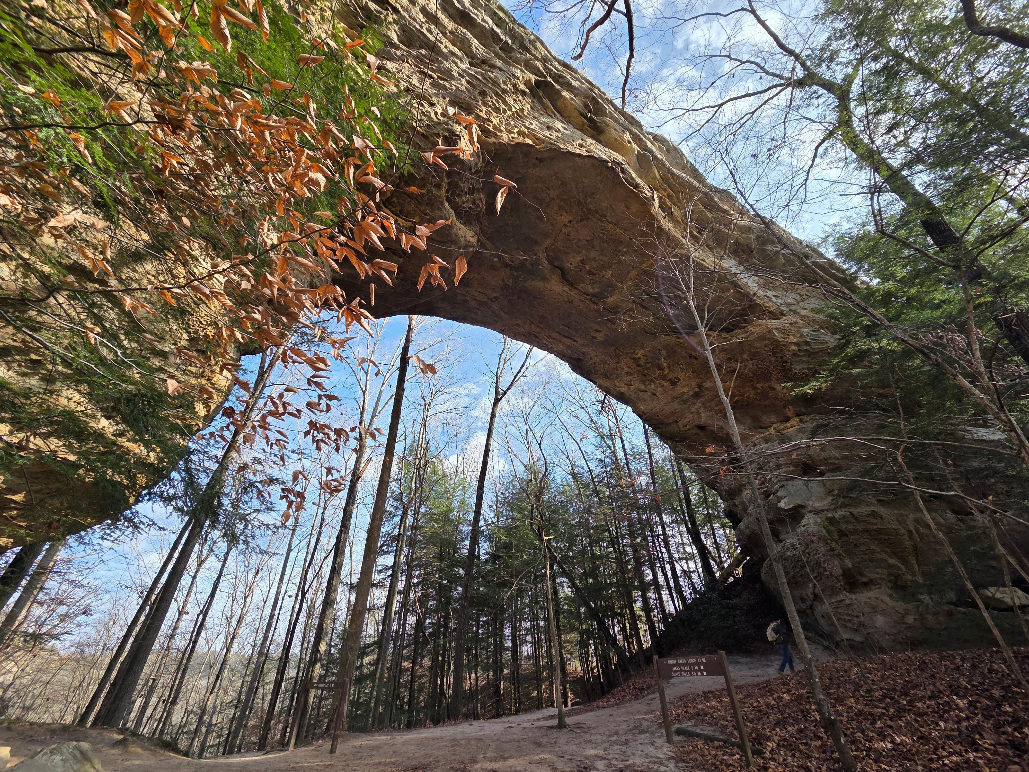 Twin Arches - Big South Fork
