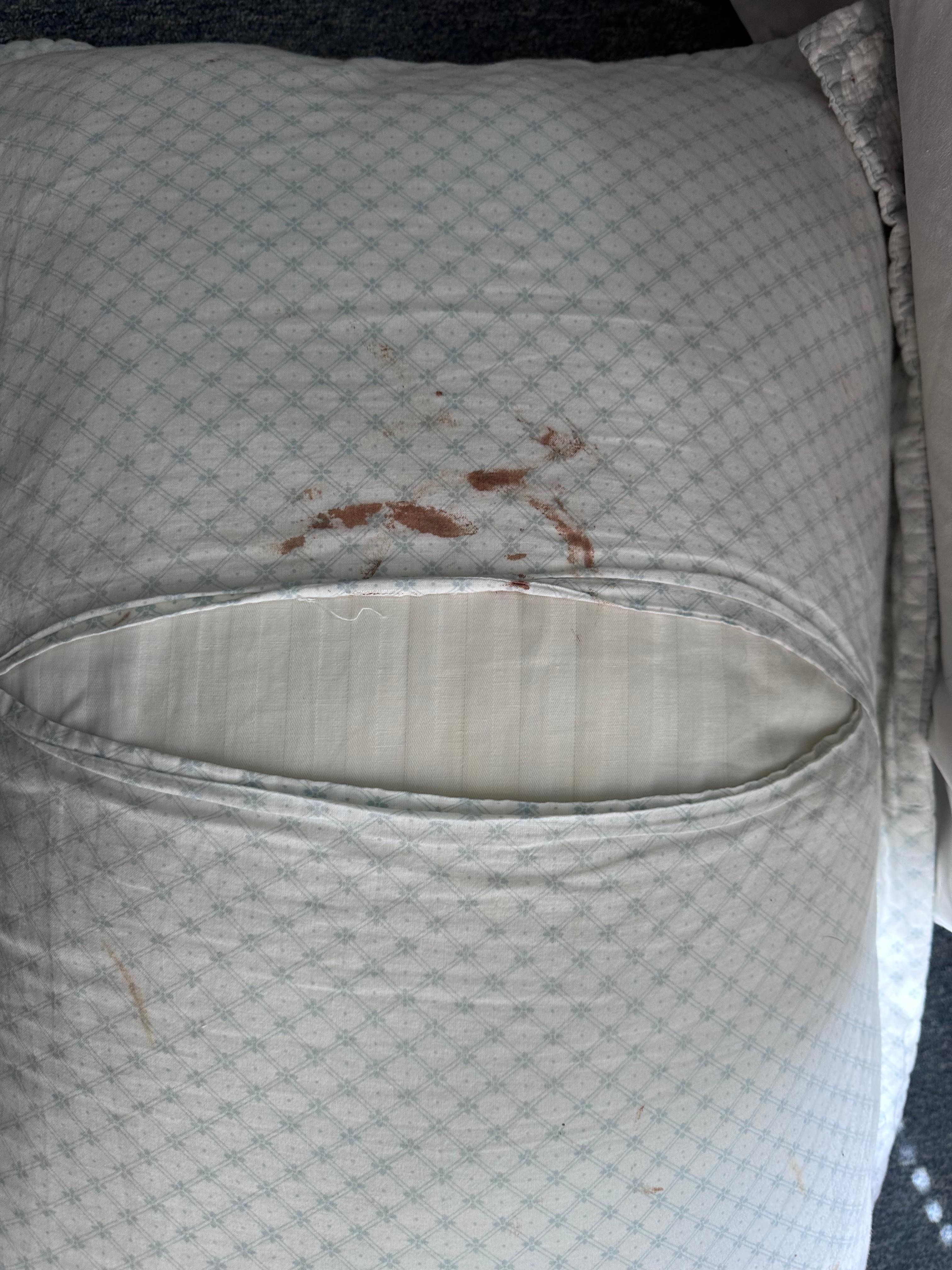 Nasty, fresh brown stains on lower level bed room bed.