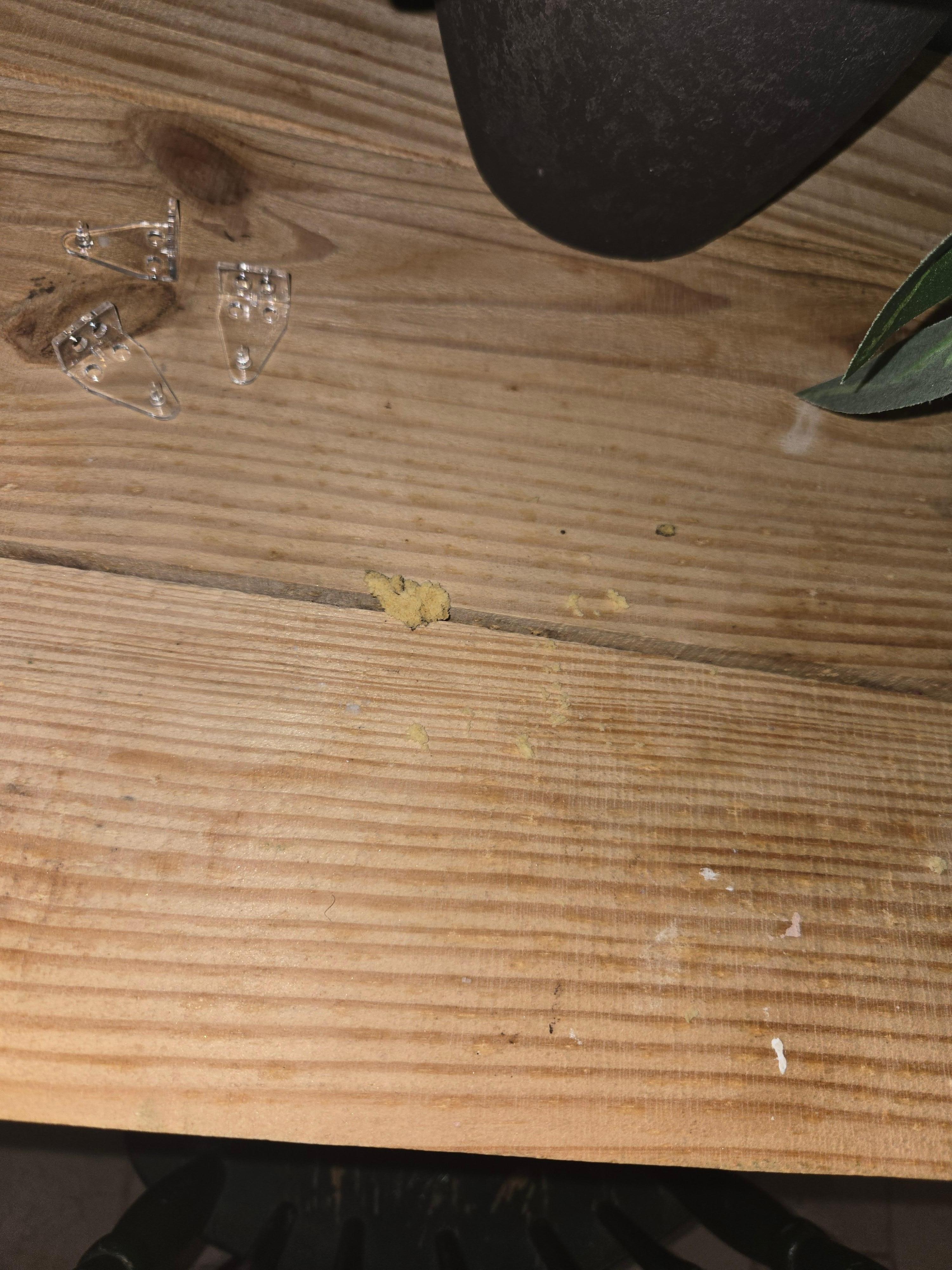 Upon check in..Food or crumbs on table in cigar room bedroom