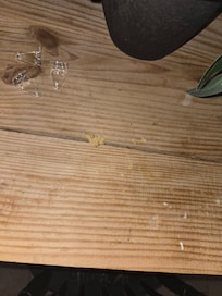 Upon check in..Food or crumbs on table in cigar room bedroom
