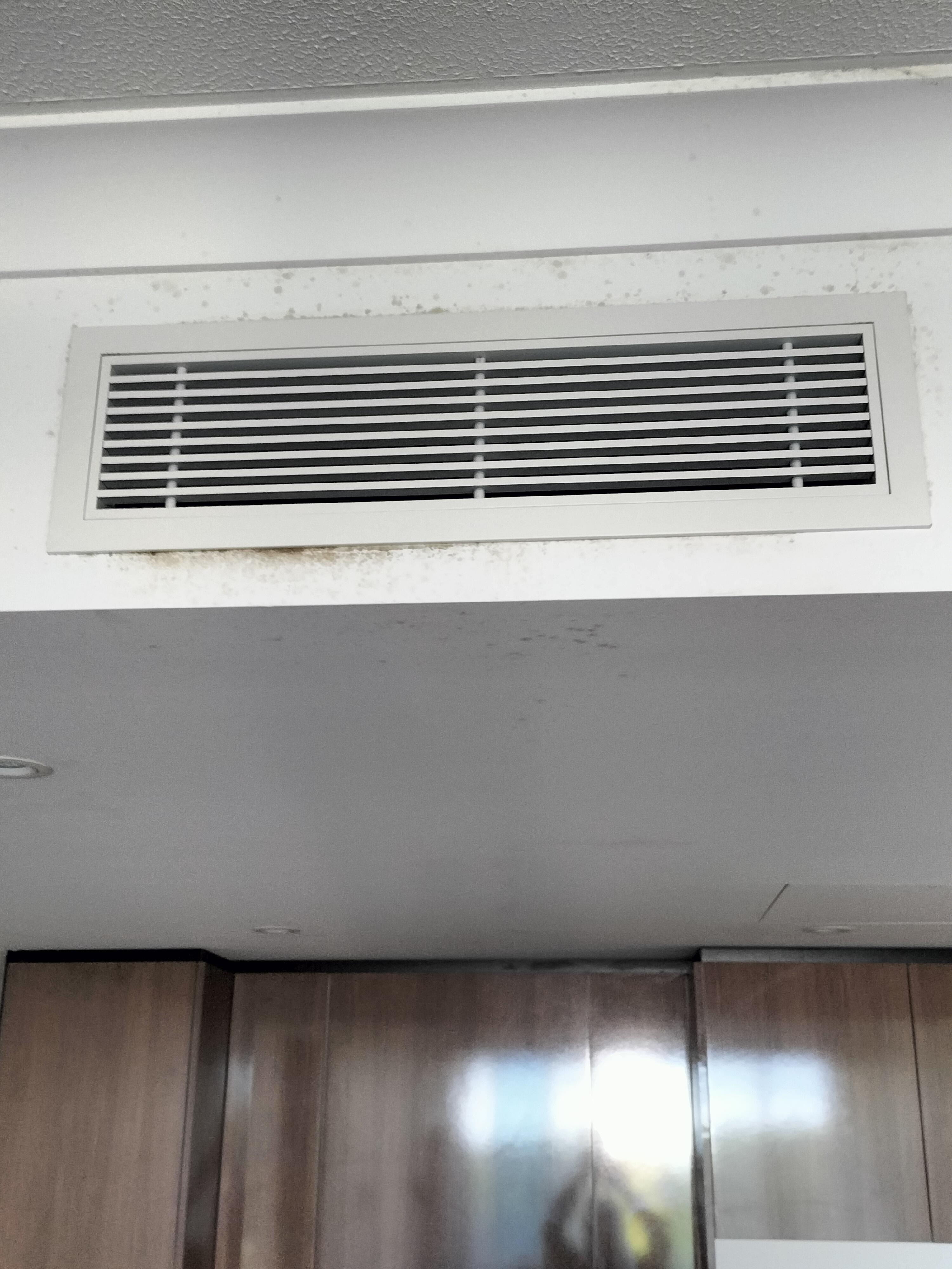 Mouldy aircon vent 