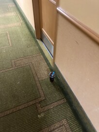 In the hallway of our room